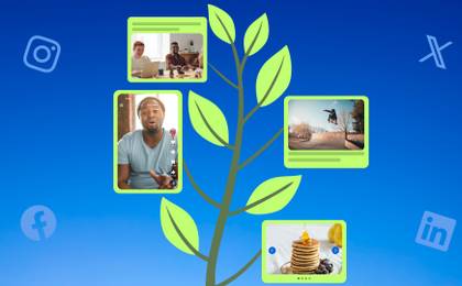 An evergreen plant sprouting content like blog posts, videos, and more.