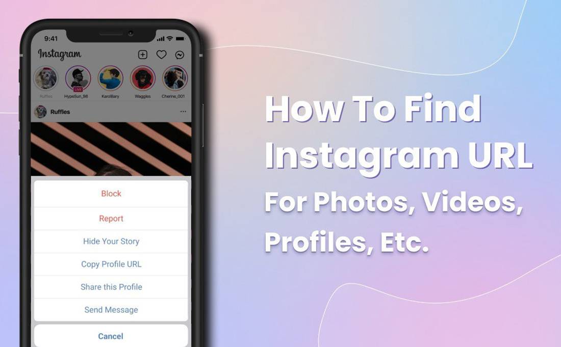 find-instagram-url-photos-videos