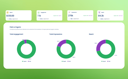 An illustration of the paid performance reporting available in Vista Social.